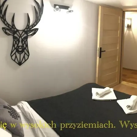 Apartamenty Mols Zakopane Esterno foto
